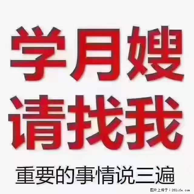 为什么要学习月嫂，育婴师？ - 其他广告 - 广告专区 - 十堰分类信息 - 十堰28生活网 shiyan.28life.net