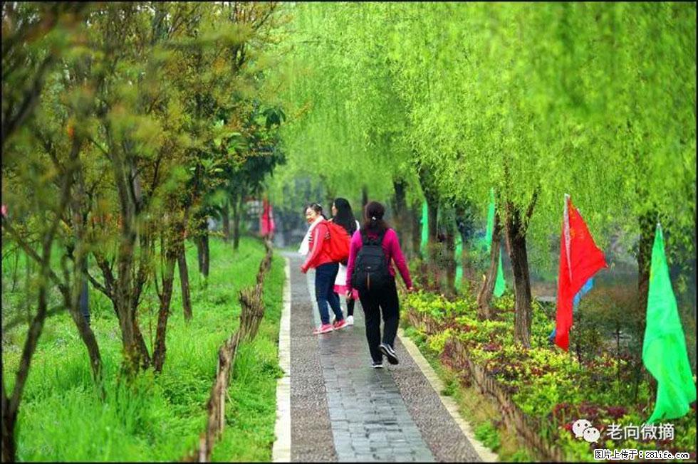 【春天，广西桂林灌阳县向您发出邀请！】江口老街又逢春 - 游山玩水 - 十堰生活社区 - 十堰28生活网 shiyan.28life.net