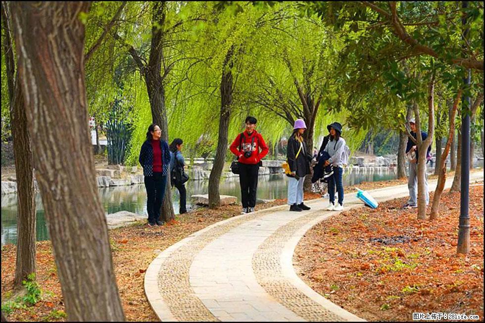 【春天，广西桂林灌阳县向您发出邀请！】江口老街又逢春 - 游山玩水 - 十堰生活社区 - 十堰28生活网 shiyan.28life.net