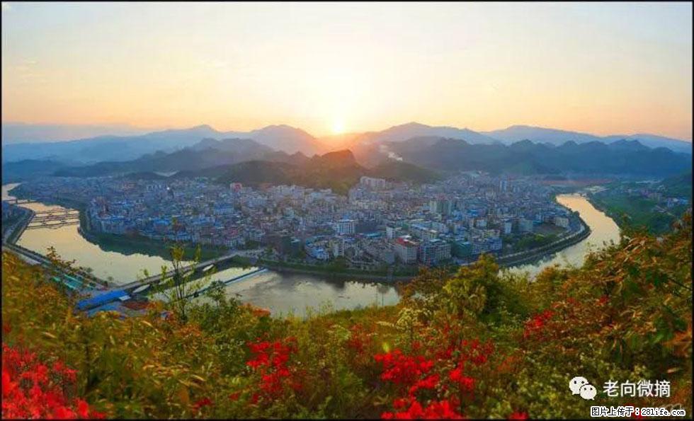 【春天，广西桂林灌阳县向您发出邀请！】登麒麟山，相约映山红 - 游山玩水 - 十堰生活社区 - 十堰28生活网 shiyan.28life.net