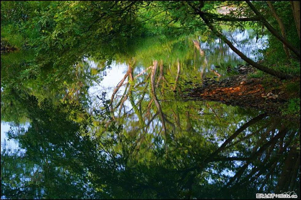 【春天，广西桂林灌阳县向您发出邀请！】熊家寨湿地公园 - 游山玩水 - 十堰生活社区 - 十堰28生活网 shiyan.28life.net