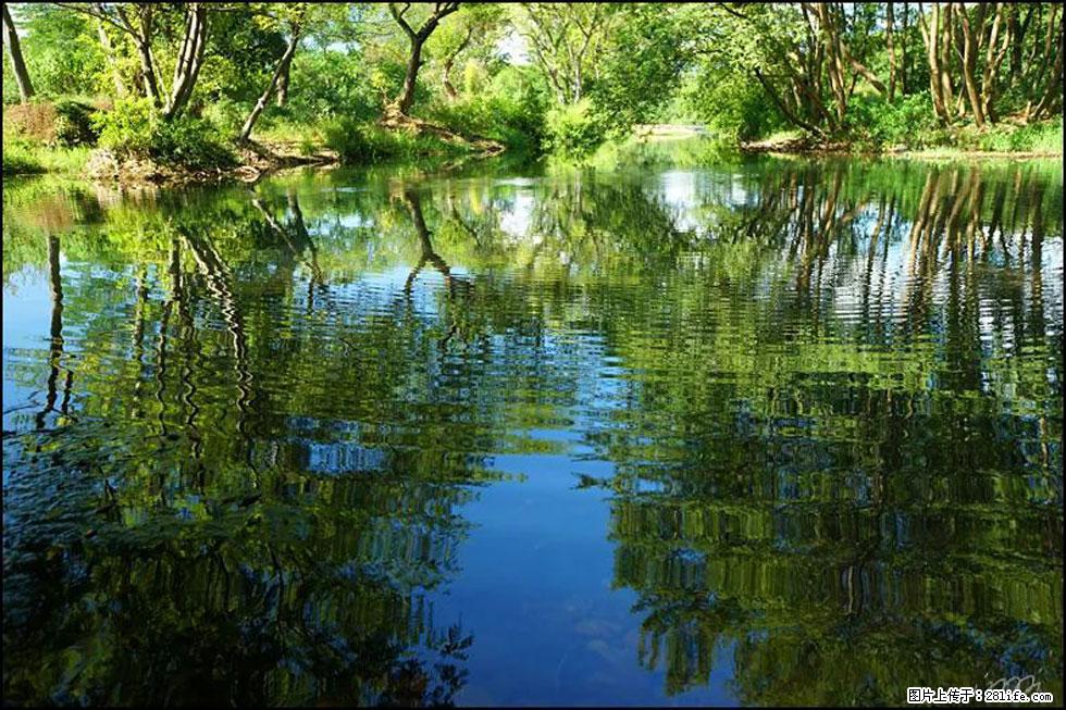 【春天，广西桂林灌阳县向您发出邀请！】熊家寨湿地公园 - 游山玩水 - 十堰生活社区 - 十堰28生活网 shiyan.28life.net