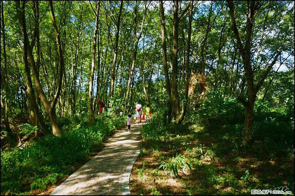 【春天，广西桂林灌阳县向您发出邀请！】熊家寨湿地公园 - 游山玩水 - 十堰生活社区 - 十堰28生活网 shiyan.28life.net