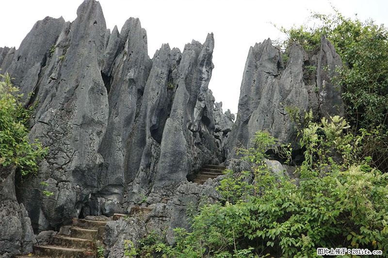 桂林旅游名城景点：灌阳文市石林 - 游山玩水 - 十堰生活社区 - 十堰28生活网 shiyan.28life.net