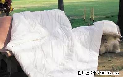 被子有异味？只要这样做，比晒太阳还强100倍！ - 家居生活 - 十堰生活社区 - 十堰28生活网 shiyan.28life.net