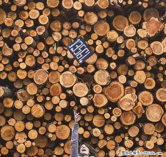 辞掉工作周游世界？现在他们在洗厕所…… - 游山玩水 - 十堰生活社区 - 十堰28生活网 shiyan.28life.net
