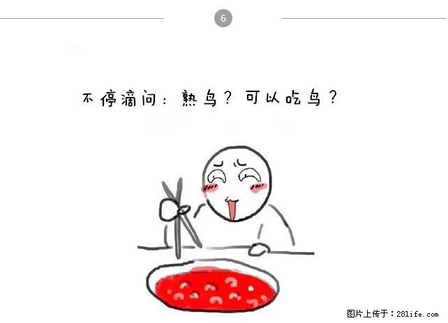 千万不要和这9种哈卵一起吃火锅！ - 美食天地 - 十堰生活社区 - 十堰28生活网 shiyan.28life.net