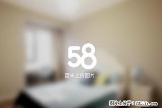 五堰邮电街大都会武当广场柳林沟口东山苑多套一居室260起月 - 十堰28生活网 shiyan.28life.net