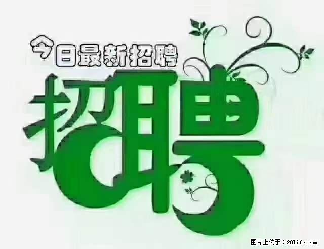 上海隔离酒店招人：55岁以下 男女不限 - 职场交流 - 十堰生活社区 - 十堰28生活网 shiyan.28life.net