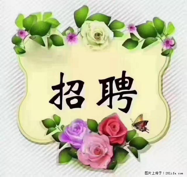 【招聘】住家育儿嫂,上户日期:4月4日,工作地址:上海 黄浦区 - 职场交流 - 十堰生活社区 - 十堰28生活网 shiyan.28life.net