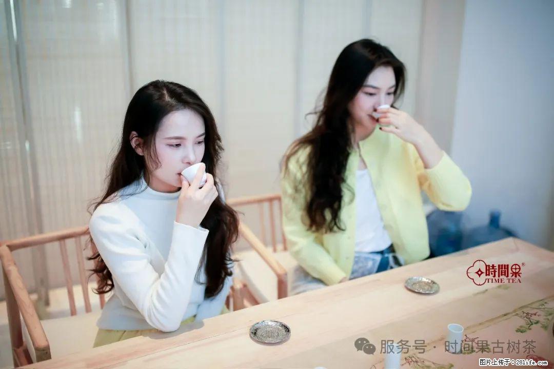 时间果百年古树龙珠普洱生茶 - 购物交流 - 十堰生活社区 - 十堰28生活网 shiyan.28life.net