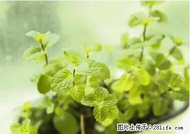 晕车、脚气、牙齿变黄、皮肤粗糙？学会这些三分钟搞定！ - 十堰生活资讯 - 十堰28生活网 shiyan.28life.net