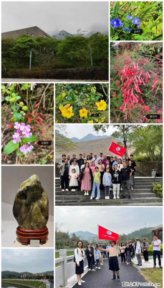 “粤灌文化 美好生活”油茶文化主题活动在广东深圳成功举办 - 十堰生活资讯 - 十堰28生活网 shiyan.28life.net