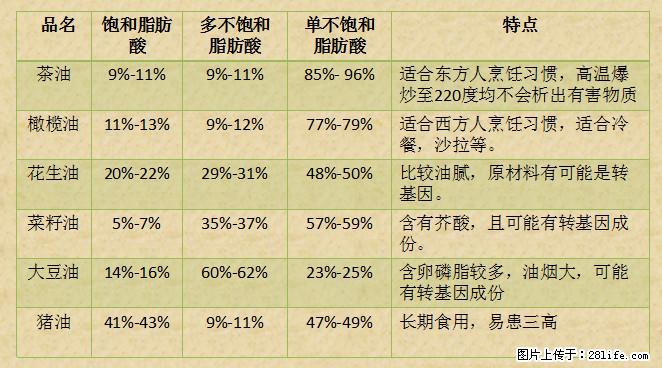 揭秘茶油的5大核心营养成分！被称为人体健康的“守护盾”！ - 十堰生活资讯 - 十堰28生活网 shiyan.28life.net