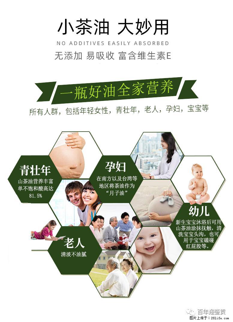 世界没有真相，只有认知，最好的食用油是中国的山茶油！ - 十堰生活资讯 - 十堰28生活网 shiyan.28life.net