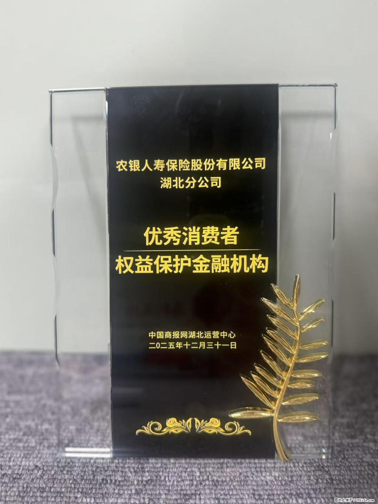 农银人寿湖北分公司荣获中国商报网颁发2025年度“优秀消费者权益保护金融机构” - 十堰生活资讯 - 十堰28生活网 shiyan.28life.net