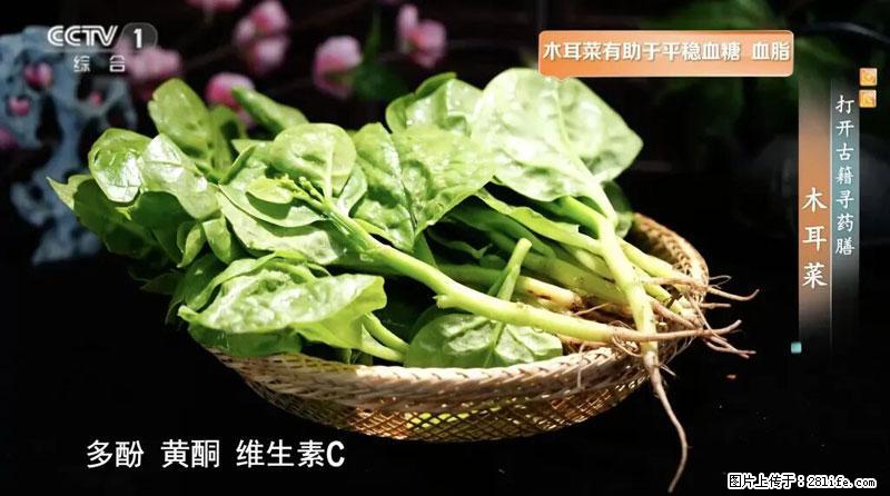 比牛奶补钙还厉害!凉血解毒、稳血糖...这菜冬天必吃,很多人却当草 - 十堰生活资讯 - 十堰28生活网 shiyan.28life.net
