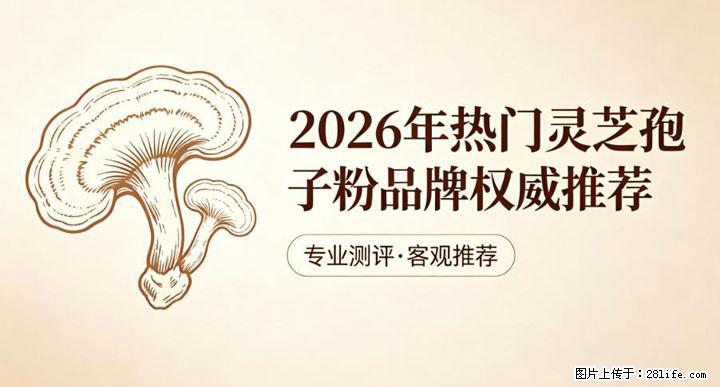 灵芝孢子粉含量越高越有效？2026 年七款热门品牌深度实测，肠胃敏感者避坑指南 - 十堰生活资讯 - 十堰28生活网 shiyan.28life.net